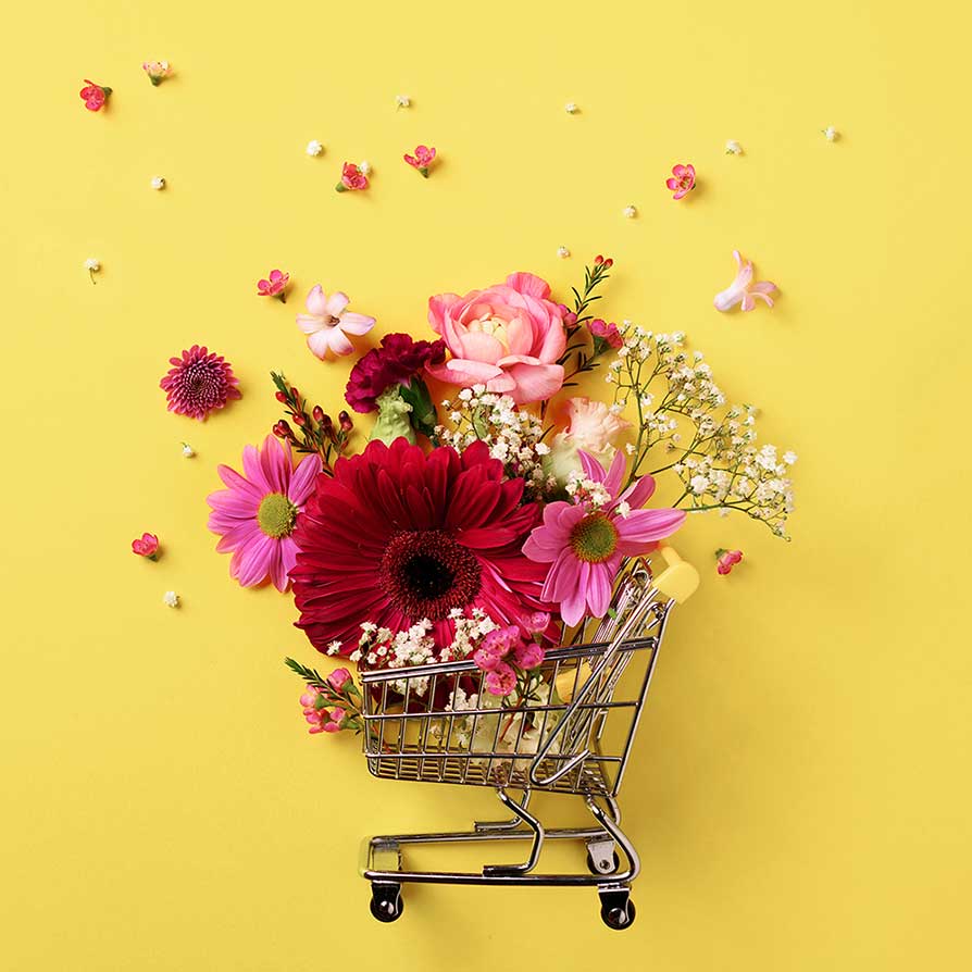ecommerce-boost-story-by-webnomate